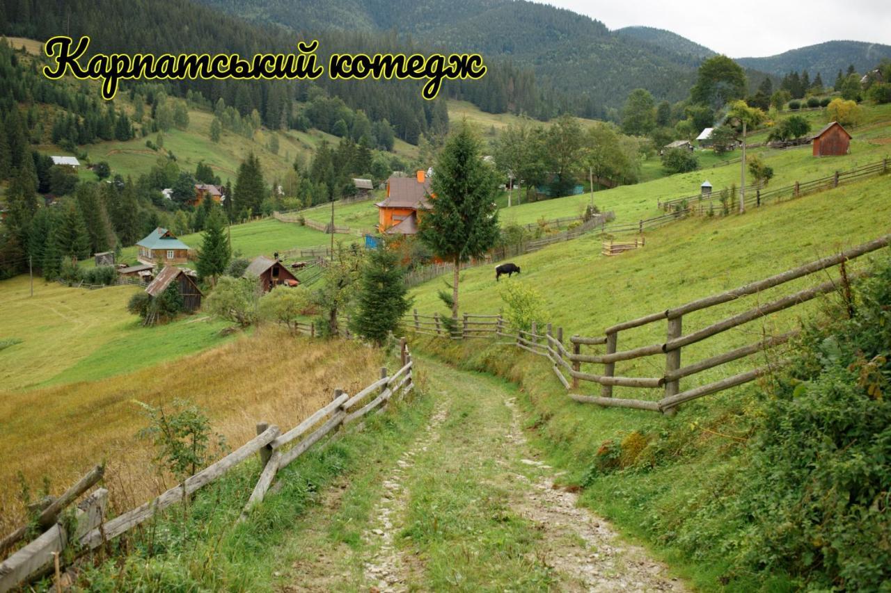 Карпатський Котедж Karpatian Cottage فوروختا المظهر الخارجي الصورة