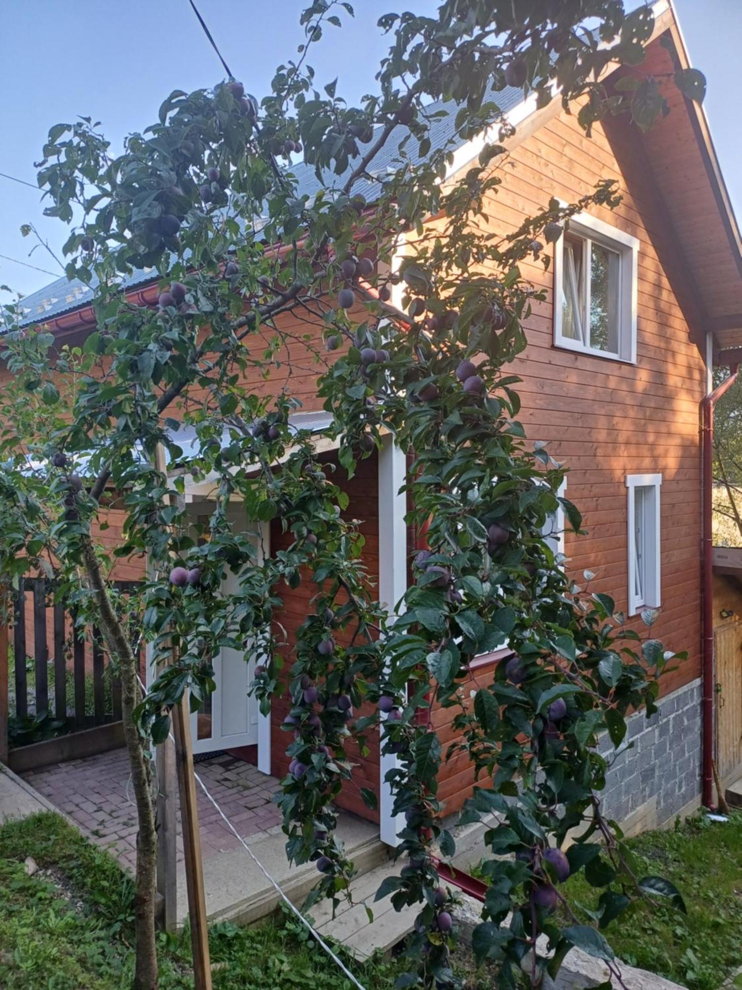Карпатський Котедж Karpatian Cottage فوروختا المظهر الخارجي الصورة